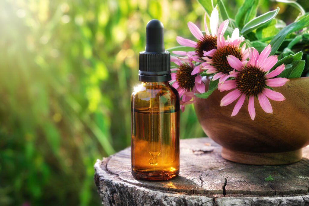Dropper bottle of echinacea essential oil , wooden mortar of coneflowers outdors. Alternative medicine.